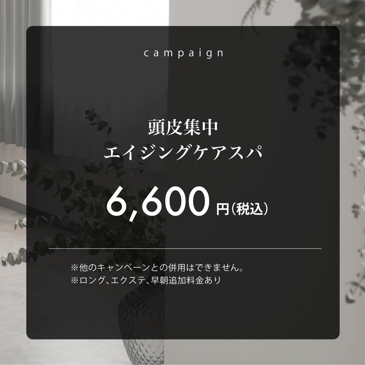 【頭皮が気になる時に】頭皮スッキリ！エイジングスパ